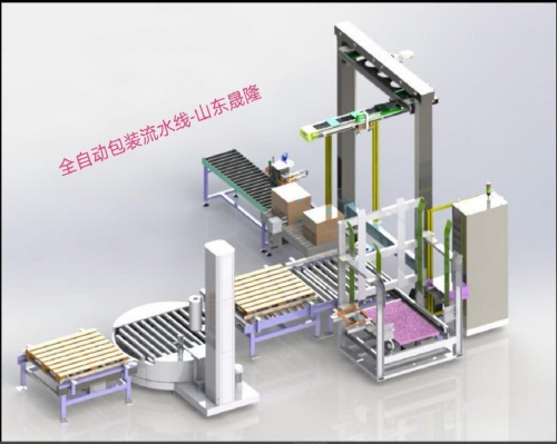 雅安全自动包装流水线